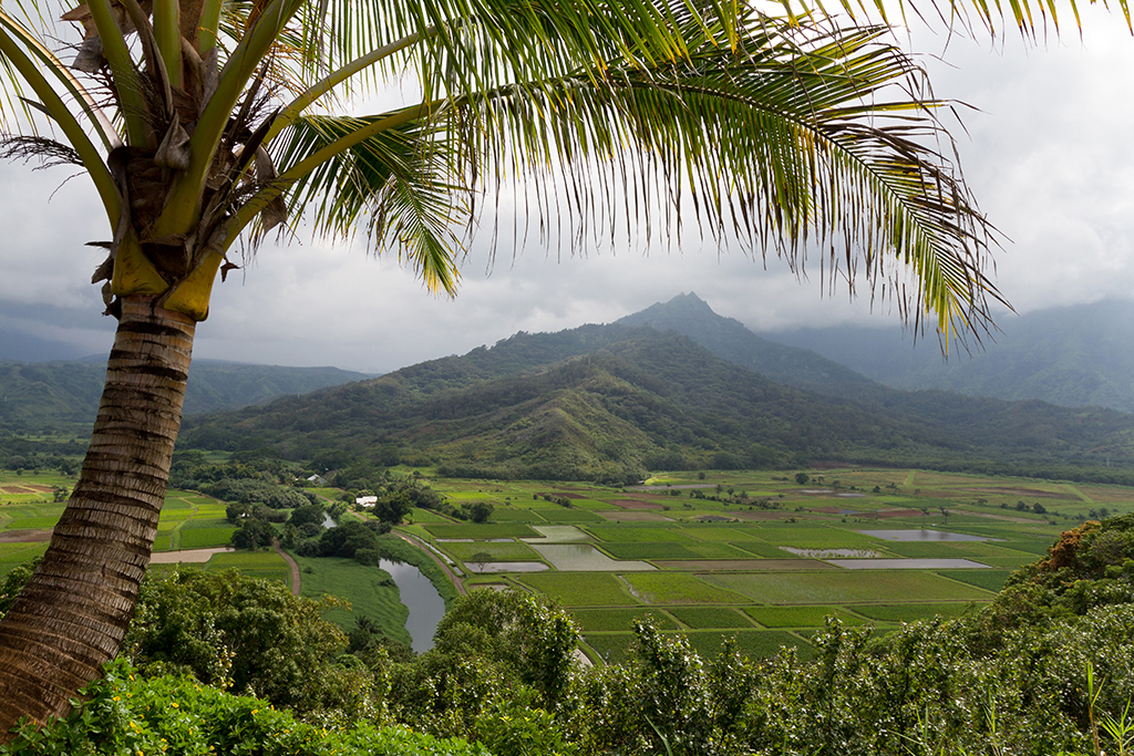 Kauai - 066.jpg